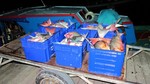 Vilamendhoo2013-822.jpg