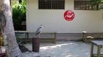 Vilamendhoo2013-829.jpg