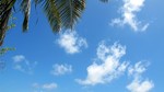Vilamendhoo2013-835.jpg
