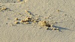 Vilamendhoo2013-854.jpg