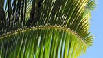 Vilamendhoo2013-856.jpg