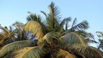 Vilamendhoo2013-862.jpg