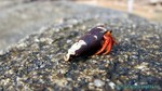 Thailand2013-0060.jpg