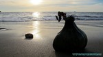 Thailand2013-0063.jpg
