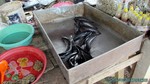 Thailand2013-0108.jpg