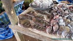 Thailand2013-0110.jpg