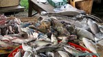Thailand2013-0111.jpg