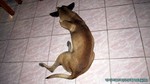 Thailand2013-0121.jpg