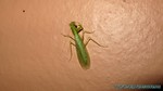 Thailand2013-0124.jpg