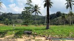 Thailand2013-0133.jpg