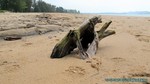 Thailand2013-0140.jpg