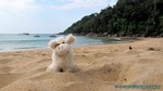 Thailand2013-0144.jpg