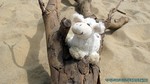 Thailand2013-0146.jpg
