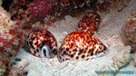 Thailand2013-0172.jpg