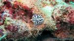 Thailand2013-0173.jpg