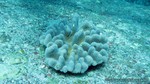Thailand2013-0176.jpg