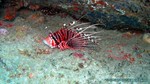 Thailand2013-0182.jpg