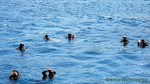 Thailand2013-0186.jpg