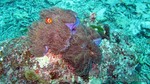 Thailand2013-0194.jpg