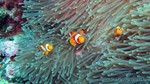 Thailand2013-0195.jpg