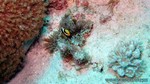 Thailand2013-0198.jpg