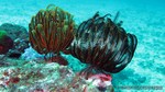Thailand2013-0200.jpg