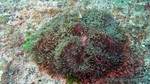 Thailand2013-0204.jpg