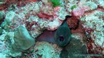 Thailand2013-0206.jpg