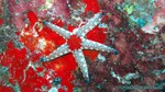 Thailand2013-0210.jpg