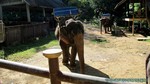 Thailand2013-0234.jpg