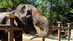 Thailand2013-0238.jpg