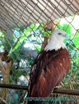 Thailand2013-0239.jpg