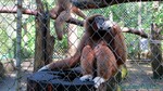 Thailand2013-0240.jpg