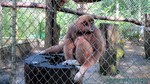Thailand2013-0241.jpg