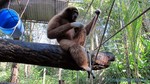 Thailand2013-0244.jpg