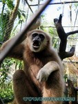 Thailand2013-0245.jpg