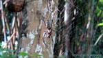 Thailand2013-0247.jpg