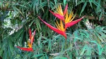 Thailand2013-0255.jpg