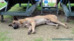 Thailand2013-0258.jpg