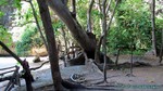Thailand2013-0298.jpg