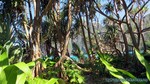 Thailand2013-0305.jpg