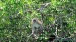 Thailand2013-0322.jpg