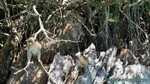 Thailand2013-0323.jpg