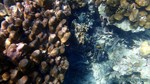 Thailand2013-0352.jpg
