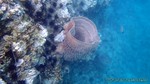 Thailand2013-0358.jpg