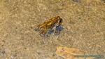 Thailand2013-0370.jpg