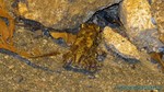 Thailand2013-0371.jpg