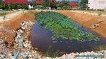 Thailand2013-0373.jpg