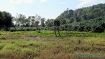 Thailand2013-0375.jpg