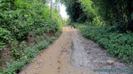 Thailand2013-0377.jpg
